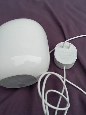 google White Smart Home Device with White Power Adapter